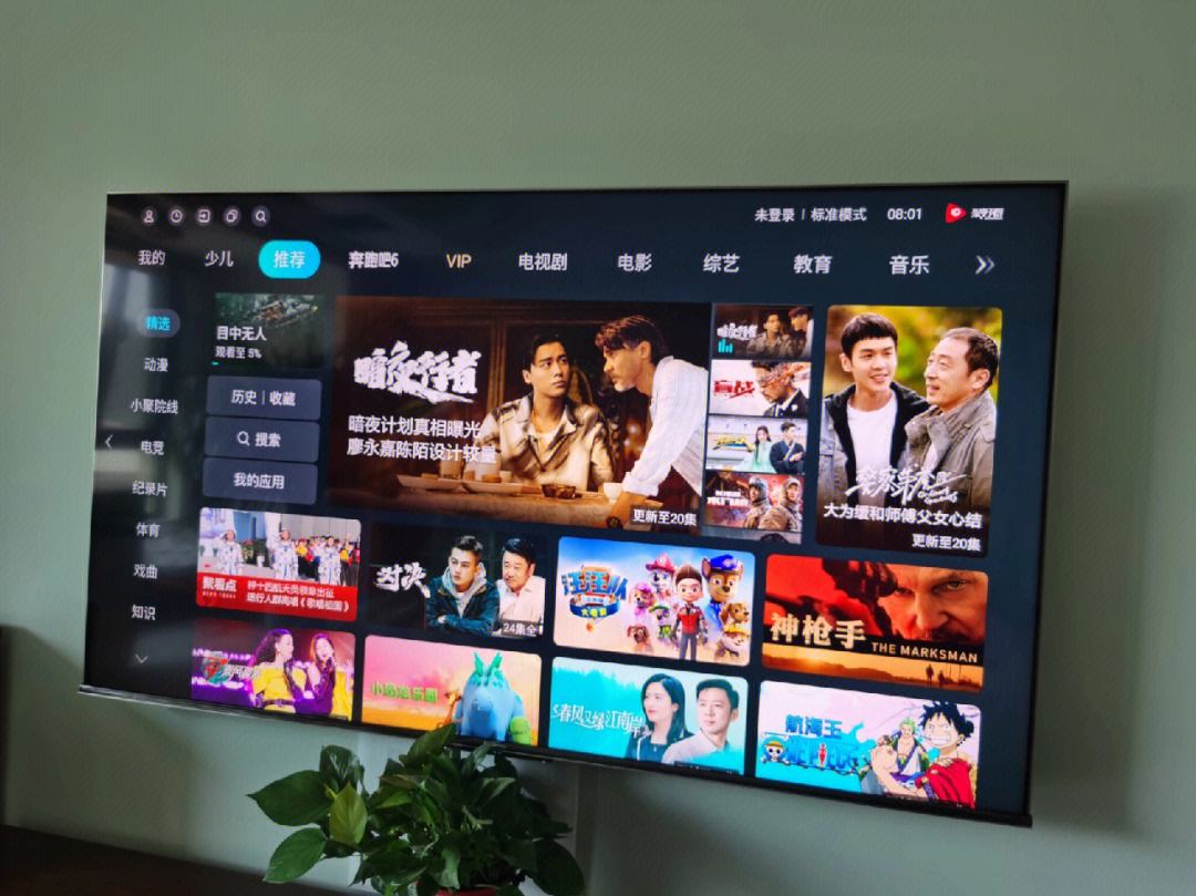 电视能开但是黑屏，出现黑屏是什么原因